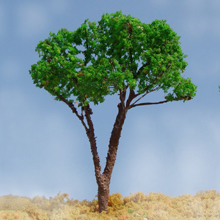 model trees